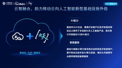 善智者，动于九天之上 人工智能基础软件开发的格局、挑战与未来